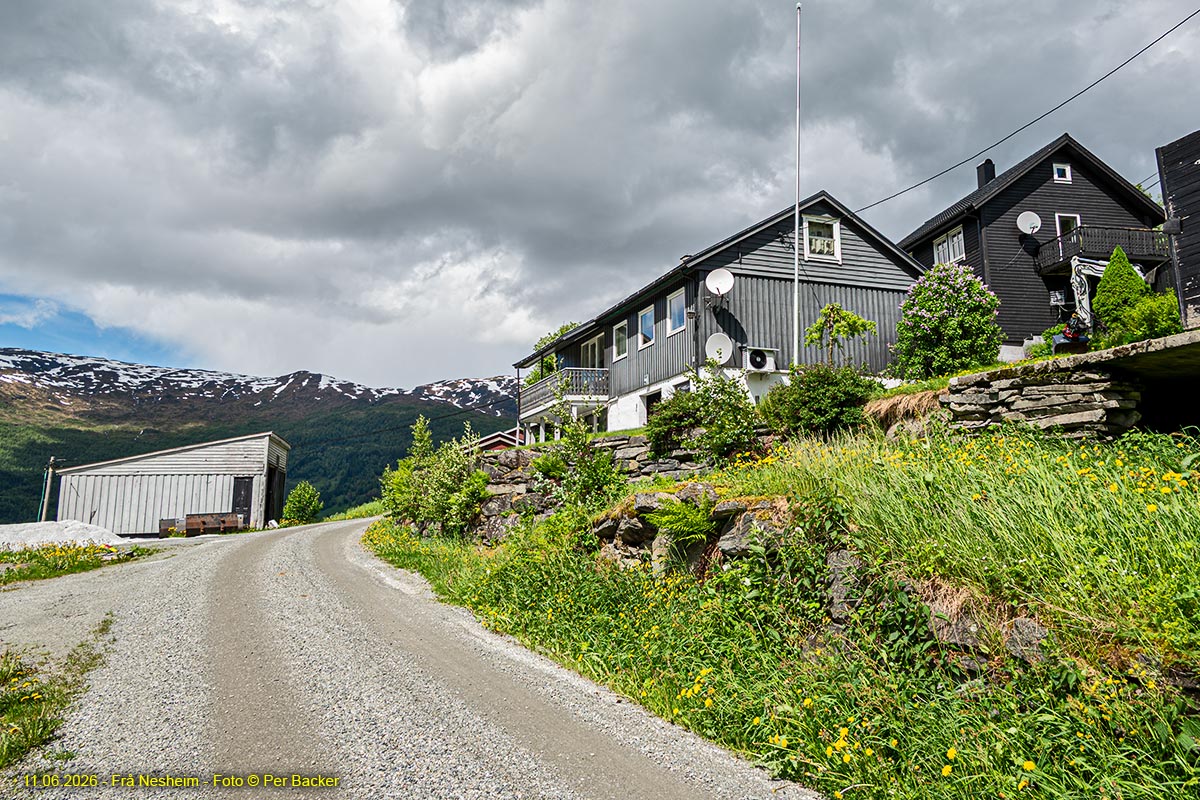 Frå Nesheim