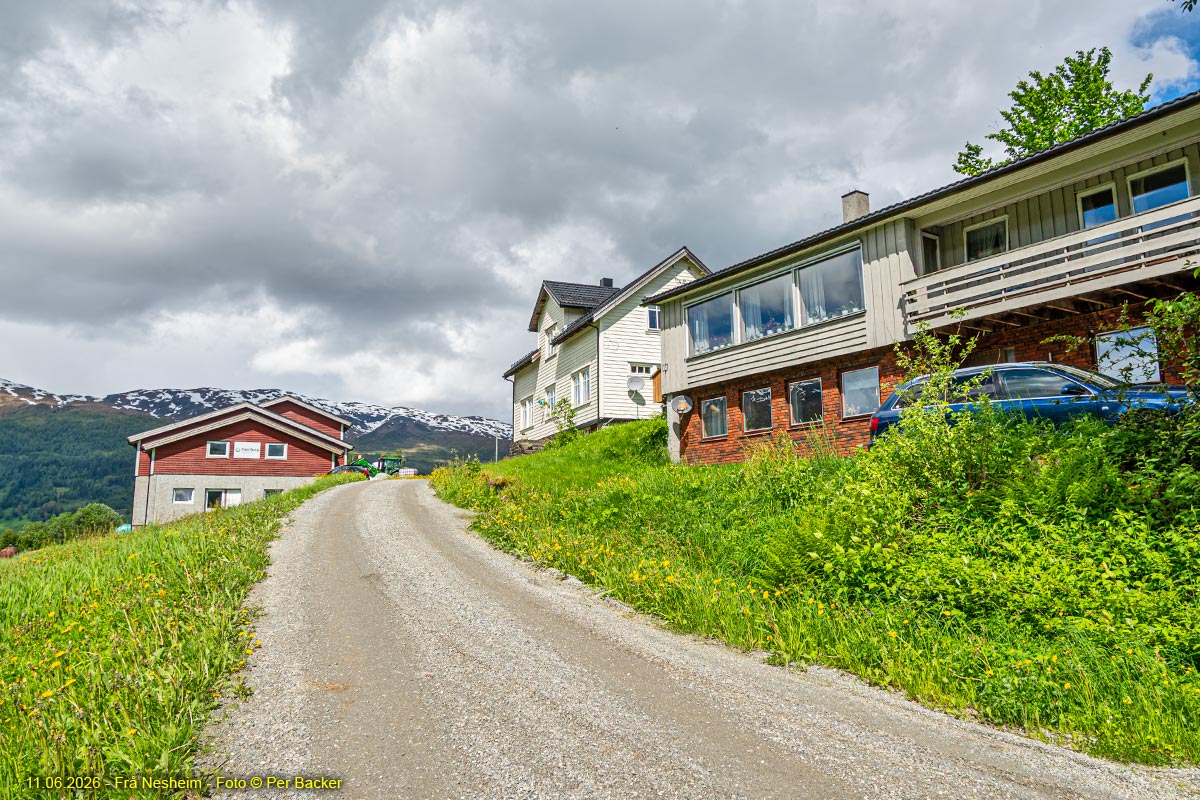 Frå Nesheim