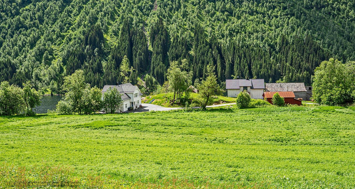 Frå Nesheim