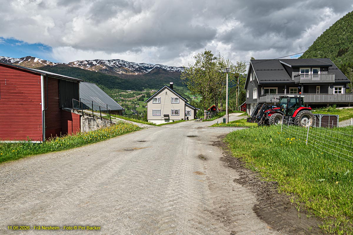 Frå Nesheim
