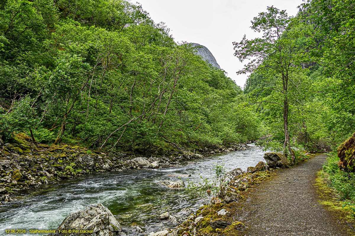 Stalheimselva