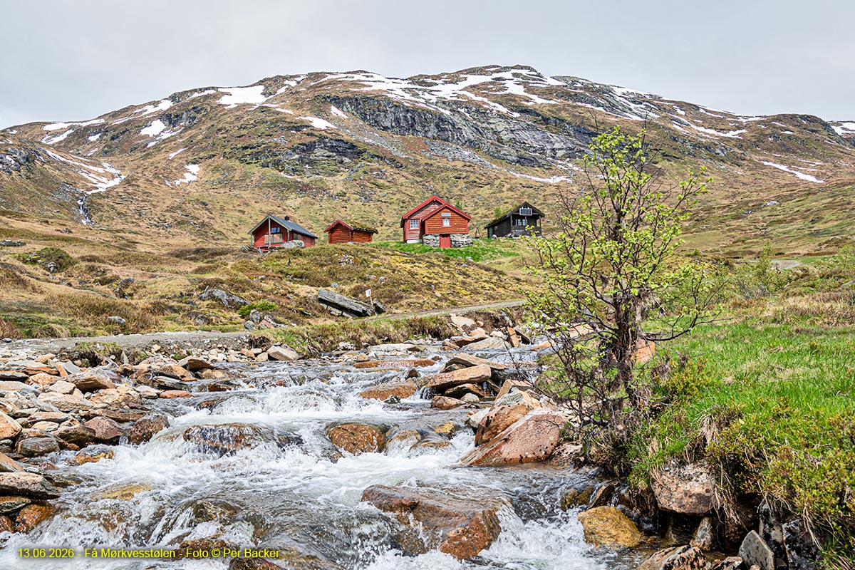 Frå Mørkvesstølen