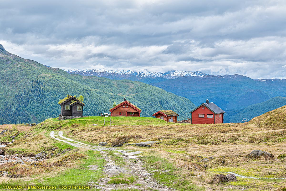 Frå Mørkvesstølen