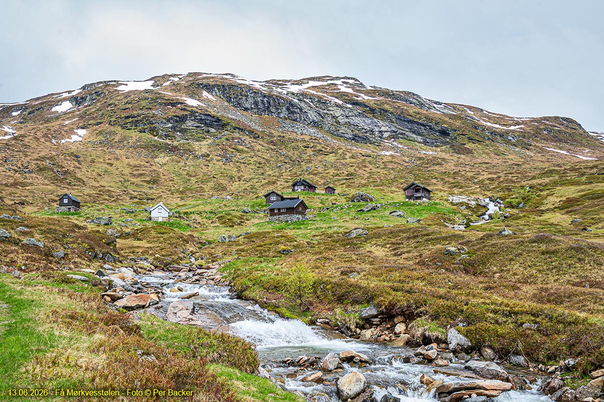 Frå Mørkvesstølen