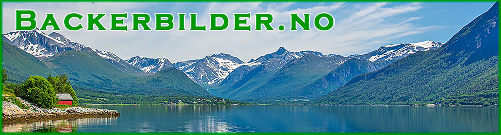 Frå Isfjorden